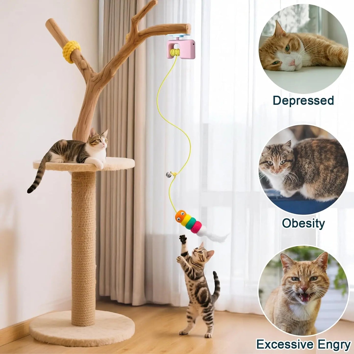 Nocciola Indoor Cat Interactive Toy, Automatic Retractable Flying Bird with Hanging Feather, Enrichment Play for Kittens & Adult Cats